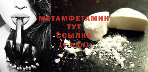 прущие грибы Заводоуковск