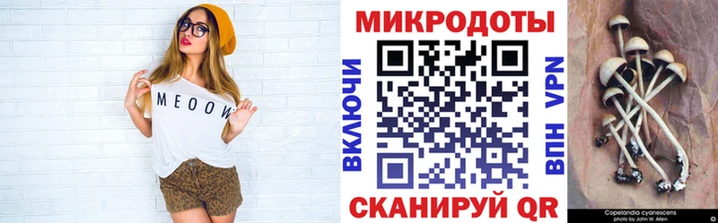 Галлюциногенные грибы ЛСД где продают Ядрин
